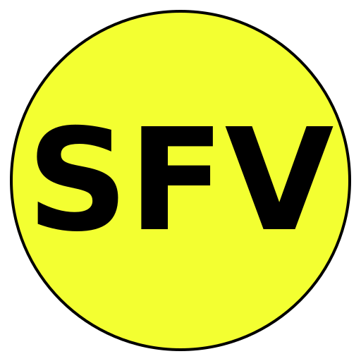 SecureFit Values